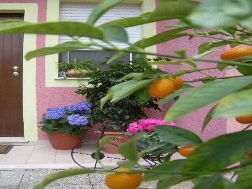Ariedo Bed And Breakfast Capoterra Ngoại thất bức ảnh